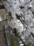 160403_143633.jpg