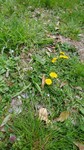 IMG_20180401_142723.jpg